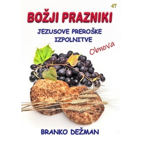 Dobra knjiga - Branko Dežman - BOŽJI PRAZNIKI